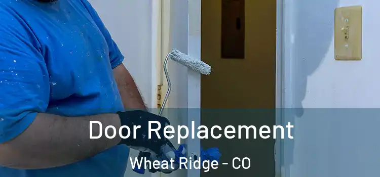 Door Replacement Wheat Ridge - CO