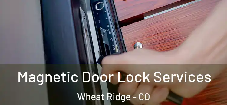 Magnetic Door Lock Services Wheat Ridge - CO