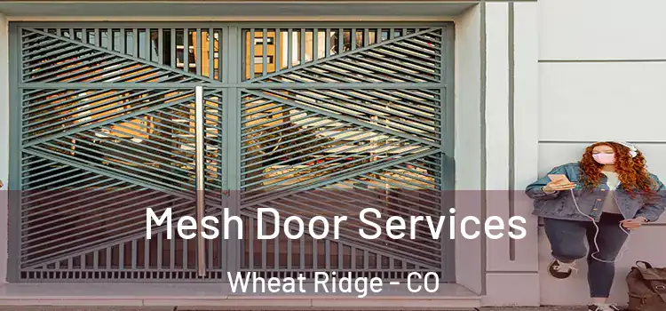 Mesh Door Services Wheat Ridge - CO