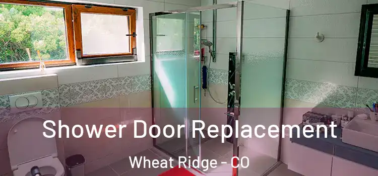 Shower Door Replacement Wheat Ridge - CO